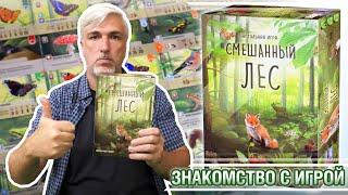 Знакомство с настольной игрой "СМЕШАННЫЙ ЛЕС"