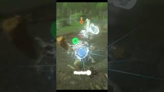 Bokoblin PERFECT blockstring?! (BotW)