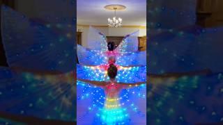 The Wings of Egypt Belly Dance Spectacular #dance #bellydance #wings #ledwings #danceshorts