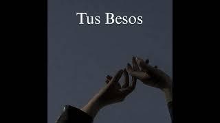 Tus Besos - Jerb