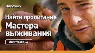 Найти пропитание | Мастера выживания | Discovery