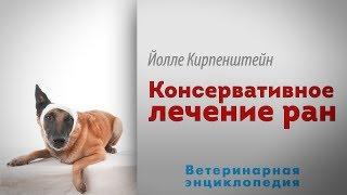 Консервативное лечение ран