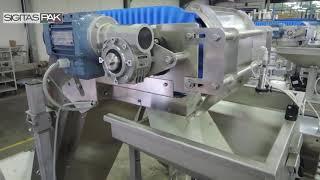 Packaging line with VFFS Mod. MAYA ECO Inclined and Vacuum chamber