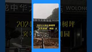 2024.9.16日神树坪暴雨闭园，想来看福宝的姨姨们暂停 #大熊猫 #大熊猫福宝 #panda #四川卧龙神树坪