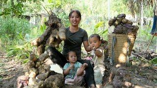 Harvest wild tubers to sell at the market - cook yams to eat with your children