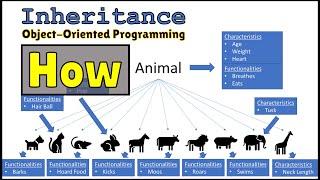 How Inheritance Works in Object Oriented Programming