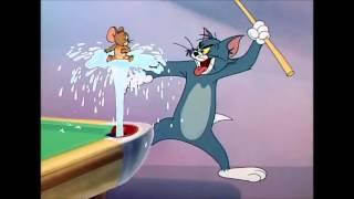 Tom and Jerry, 54 Episode   Cue Ball Cat 1950