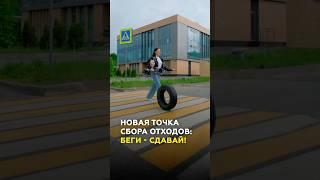 Новая точка сбора сортированных отходов на Горках/Азино: где находится, что принимают?