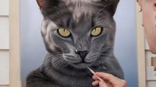 Photo-Realistic Cat Portrait Drawing Time-Lapse - Soft Pastel HD