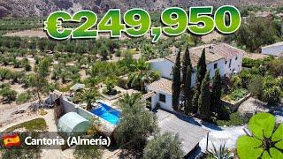 HOUSE TOUR SPAIN | Country house with pool in Cantoria @ €249,950