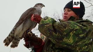 The Kremlin's battle of the birds