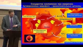 Сусеков А.В., Кардиометаболические риски у пациентов с сахарным диабетом 2 типа. ..