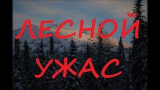 История из реальной жизни: Лесной ужас