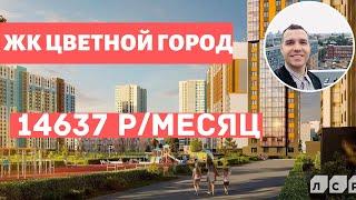 ЖК Цветной город в Красногвардейском районе Новостройки Санкт Петербурга Обзор 2020