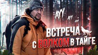 25км по ТАЙГЕ ЗИМОЙ. Встреча с волком. Остался ночью без фонаря. Шунут камень.