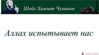 Шейх Хамзат Чумаков | Аллах испытывает нас.