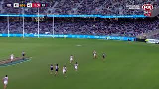 Amazing chase by Tom Doedee