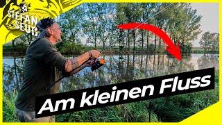 KARPFEN am kleinen FLUSS | Absturz ins Bieber-Loch!