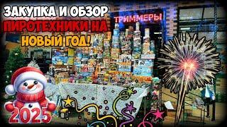 ЗАКУПКА ПИРОТЕХНИКИ | ОБЗОР ПЕТАРД И ФЕЙЕРВЕРКОВ НА НОВЫЙ 2025 ГОД! | 30.12.2024г