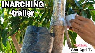 Trailer highlights inarching/ Gha Agri Tv