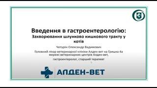 Cat's Breeder expert. Введення в гастроентерологію для заводчиків котів. Олександр Чепурін. 30.04.23