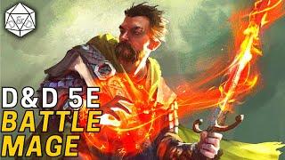 A Paladin Wizard Multiclass?!? That's GOOD!?! The Battle Mage | D&D 5e Build