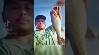 Bass Fishin' South Texas #956 #bassfishing #outdoors #fishing #vlog #tiktok