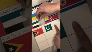 Drawing the flag of Pakistan  What’s next? #art #drawingpainting #creative #painting