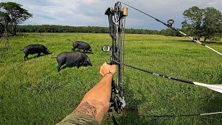 Bow Hunting Wild Hogs Up Close!  (MOST DESTRUCTIVE PEST IN AMERICA)