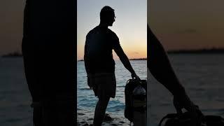 Do you remember Bilbo what to say?  #дайвинг #reels #ocean #shorts