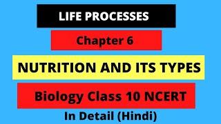 Nutrition | Life Process CBSE Class 10 Science (Biology) Chapter 6 NCERT | Mode of Nutrition