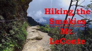 Hiking the Smokies - Mt. LeConte