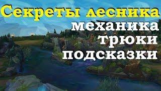 СЕКРЕТЫ ЛЕСНИКА | КАК ФАРМИТЬ ЛЕС В ЛИГЕ ЛЕГЕНД | ЭТО НУЖНО ЗНАТЬ | League of Legends