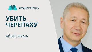 Айбек Жума - убить черепаху