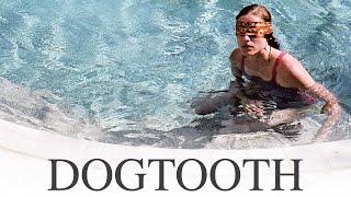 Dogtooth | Official Trailer | Yorgos Lanthimos