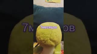 первый день кто полетел в космос крокодил Гена
