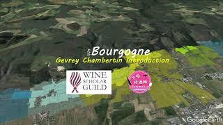 Wine Scholar Guild Bourgogne Master-Level | Gevrey Chambertin: An Introduction | Wine study