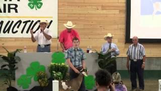 Marshall Johnson Fillmore County Champion Dairy Meat Goat
