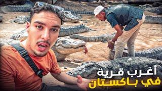 Here They Worship Crocodiles in an African Village Of Pakistan 