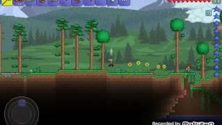 Как получить "духа в бутылке" в Terraria