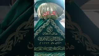 msjide aqsa #sorts #masjid#masjideaqsastatus 