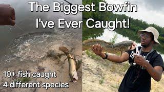 The Biggest Bowfin I've Ever Caught