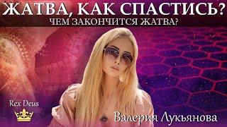 Как СПАСТИСЬ в ТАКИХ условиях?? ️  ЖАТВА в разгаре.