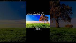 शायरी by Arya.....|86| #arya #shayri #love #poetry #feeling