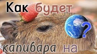 КАК БУДЕТ КАПИБАРА НА РАЗНЫХ ЯЗЫКАХ? Всего 10 языков!