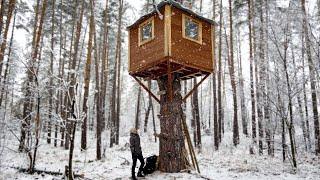 I FOUND A TREE HOUSE. I HID from the Snowfall and frost