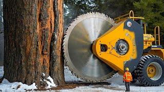 Extreme Dangerous Fastest Big Chainsaw Cutting Tree Machines | Monster Stump Removal Excavator #38