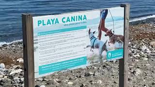 Beach for dogs in Marbella