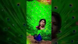 #fariya 143#new #video