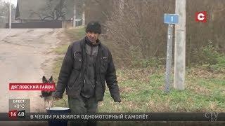 Навозной жижей затопило деревню под Гродно